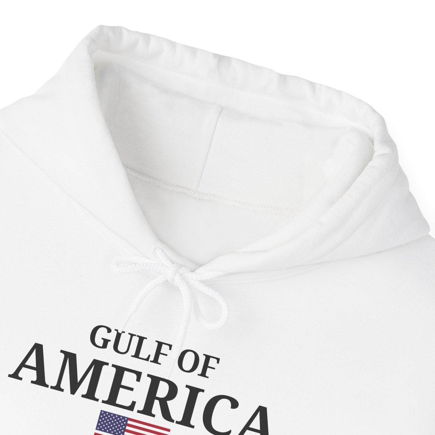 Unisex Heavy Blend™ Hooded Sweatshirt Gulf of America Fishing Co with Flag