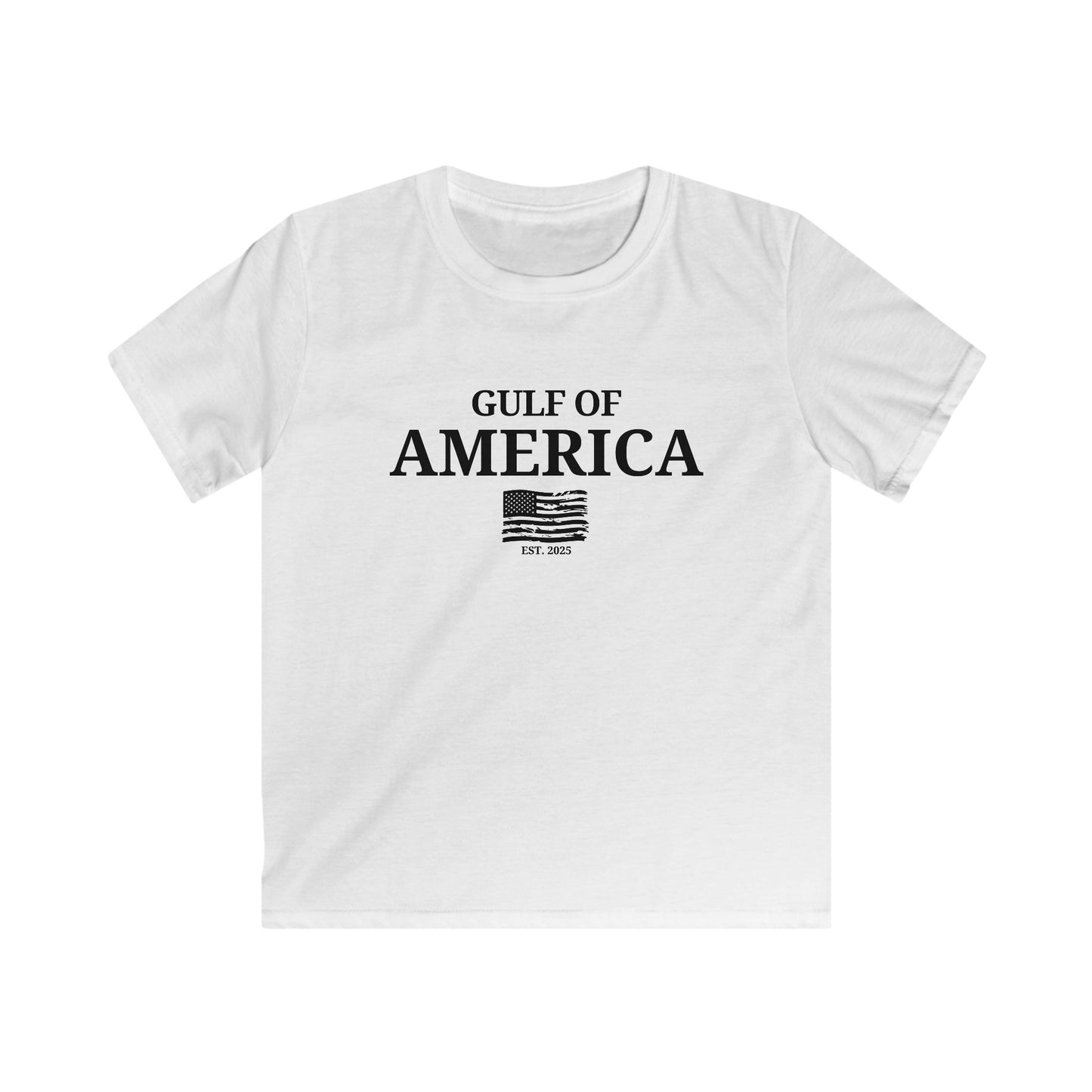 Kids Gulf of America Distressed Flag Softstyle Tee