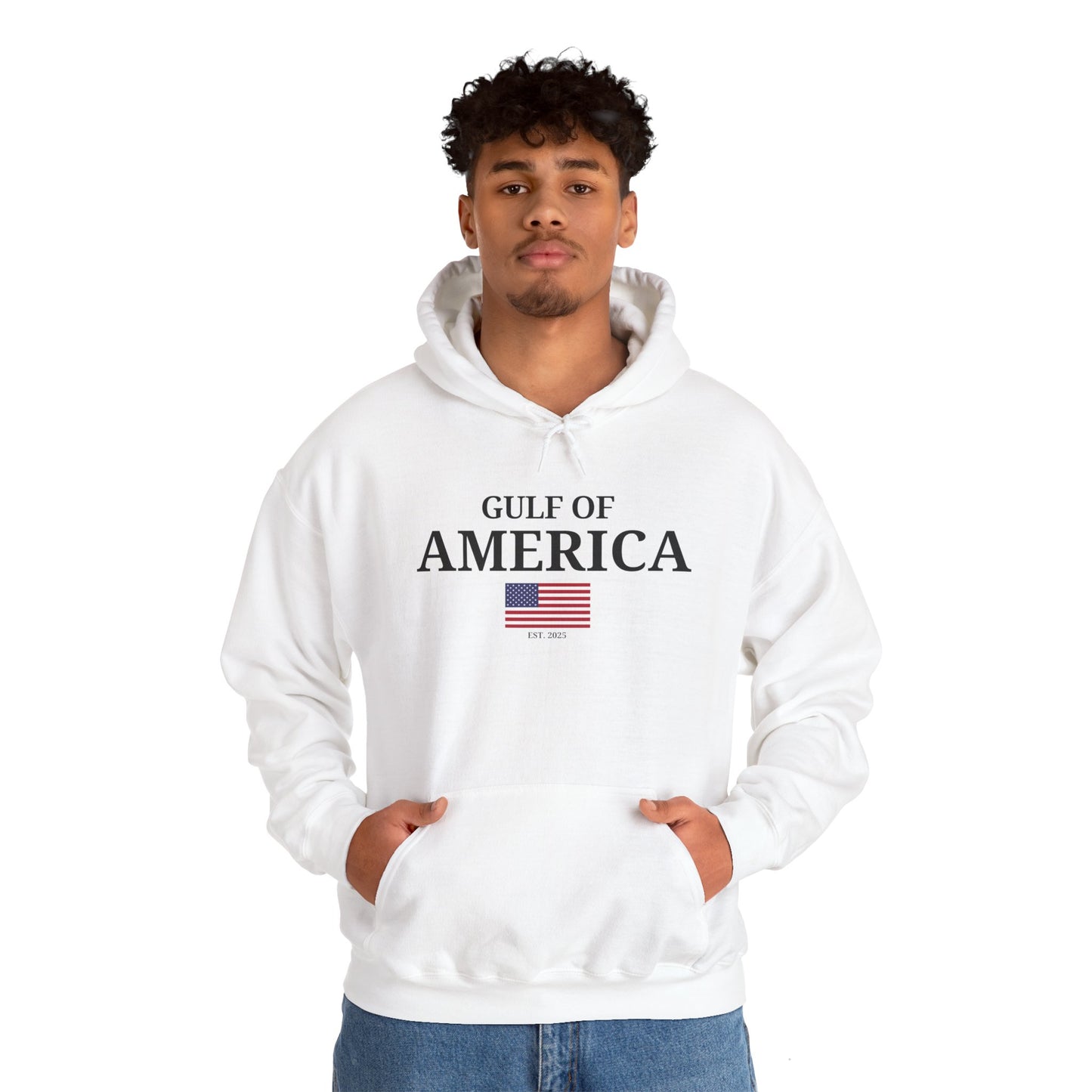 Unisex Heavy Blend™ Hooded Sweatshirt Gulf of America with Flag