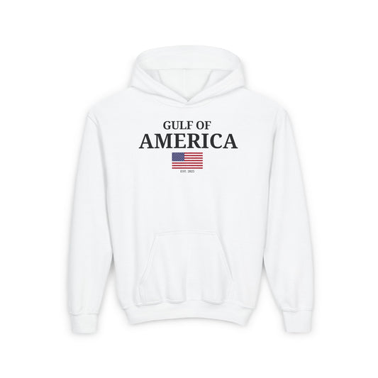 Youth Heavy Blend Hooded Sweatshirt Gulf of America with Flag